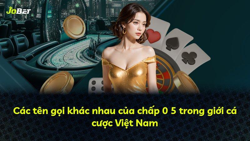 Các tên gọi khác nhau của chấp 0 5 trong giới cá cược Việt Nam
