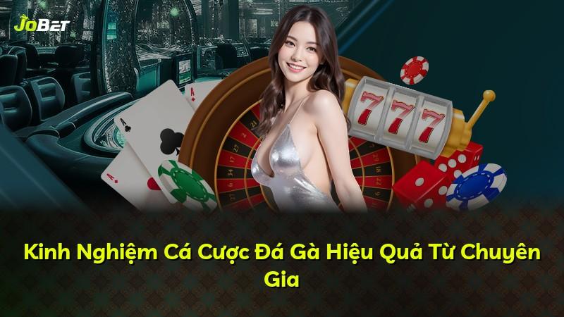 Kinh Nghiệm Cá Cược Đá Gà Hiệu Quả Từ Chuyên Gia